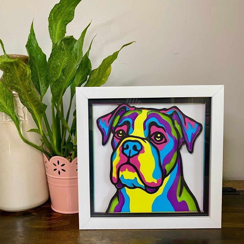 3D Boxer Multicolor Shadowbox